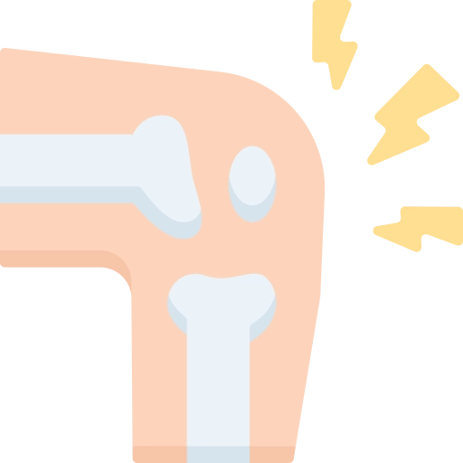package icon